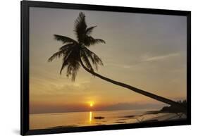 A sunset silhouette of a coconut palm at Paliton beach, Siquijor, Philippines, Southeast Asia, Asia-Nigel Hicks-Framed Photographic Print