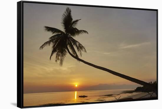 A sunset silhouette of a coconut palm at Paliton beach, Siquijor, Philippines, Southeast Asia, Asia-Nigel Hicks-Framed Stretched Canvas