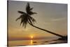 A sunset silhouette of a coconut palm at Paliton beach, Siquijor, Philippines, Southeast Asia, Asia-Nigel Hicks-Stretched Canvas