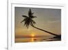 A sunset silhouette of a coconut palm at Paliton beach, Siquijor, Philippines, Southeast Asia, Asia-Nigel Hicks-Framed Photographic Print