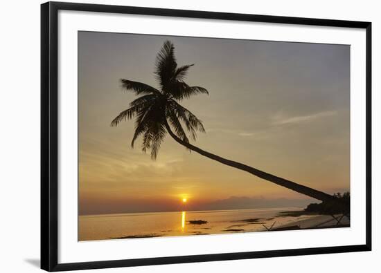 A sunset silhouette of a coconut palm at Paliton beach, Siquijor, Philippines, Southeast Asia, Asia-Nigel Hicks-Framed Photographic Print