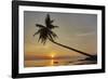 A sunset silhouette of a coconut palm at Paliton beach, Siquijor, Philippines, Southeast Asia, Asia-Nigel Hicks-Framed Photographic Print