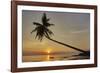 A sunset silhouette of a coconut palm at Paliton beach, Siquijor, Philippines, Southeast Asia, Asia-Nigel Hicks-Framed Photographic Print