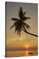 A sunset silhouette of a coconut palm at Paliton beach, Siquijor, Philippines, Southeast Asia, Asia-Nigel Hicks-Stretched Canvas