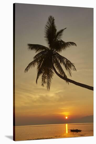 A sunset silhouette of a coconut palm at Paliton beach, Siquijor, Philippines, Southeast Asia, Asia-Nigel Hicks-Stretched Canvas