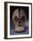 A Superb Songye Mask, Kifwebe,Whitened with Kaolin, Belgian Congo-null-Framed Giclee Print