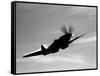 A Supermarine Spitfire MK-18 in Flight-Stocktrek Images-Framed Stretched Canvas