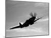 A Supermarine Spitfire MK-18 in Flight-Stocktrek Images-Mounted Photographic Print