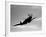 A Supermarine Spitfire MK-18 in Flight-Stocktrek Images-Framed Photographic Print