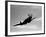 A Supermarine Spitfire MK-18 in Flight-Stocktrek Images-Framed Photographic Print