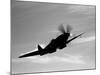 A Supermarine Spitfire MK-18 in Flight-Stocktrek Images-Mounted Photographic Print