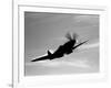 A Supermarine Spitfire MK-18 in Flight-Stocktrek Images-Framed Photographic Print