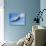 A Supermarine Spitfire MK-18 in Flight-Stocktrek Images-Stretched Canvas displayed on a wall