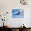 A Supermarine Spitfire MK-18 in Flight-Stocktrek Images-Stretched Canvas displayed on a wall