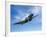 A Supermarine Spitfire MK-18 in Flight-Stocktrek Images-Framed Photographic Print