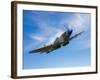 A Supermarine Spitfire MK-18 in Flight-Stocktrek Images-Framed Photographic Print