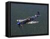 A Supermarine Spitfire MK-18 in Flight-Stocktrek Images-Framed Stretched Canvas