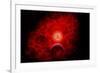 A Supernova Destroying Itself and its Planets-null-Framed Premium Giclee Print