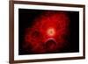 A Supernova Destroying Itself and its Planets-null-Framed Premium Giclee Print