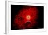 A Supernova Destroying Itself and its Planets-null-Framed Art Print