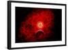 A Supernova Destroying Itself and its Planets-null-Framed Art Print