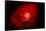 A Supernova Destroying Itself and its Planets-null-Framed Stretched Canvas