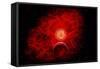 A Supernova Destroying Itself and its Planets-null-Framed Stretched Canvas