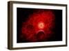 A Supernova Destroying Itself and its Planets-null-Framed Art Print