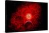 A Supernova Destroying Itself and its Planets-null-Stretched Canvas