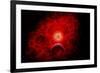 A Supernova Destroying Itself and its Planets-null-Framed Art Print