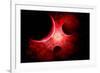 A Supernova Destroying Itself and its Planets-null-Framed Premium Giclee Print