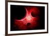 A Supernova Destroying Itself and its Planets-null-Framed Premium Giclee Print