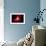 A Supernova Destroying Itself and its Planets-null-Framed Art Print displayed on a wall