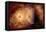 A Supernova Destroying Itself and its Planets-null-Framed Stretched Canvas