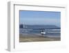 A surfer approaches the water, Morro Rock in the background. San Luis Obispo County, California, Us-Susan Pease-Framed Photographic Print