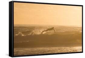 A Surfer Dives over a Wave on Praia Da Joaquina Beach on Florianopolis Island-Alex Saberi-Framed Stretched Canvas