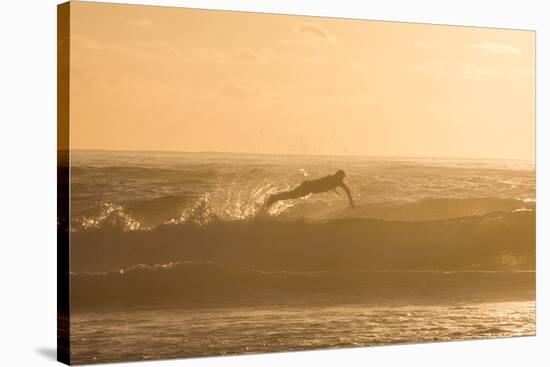 A Surfer Dives over a Wave on Praia Da Joaquina Beach on Florianopolis Island-Alex Saberi-Stretched Canvas