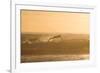 A Surfer Dives over a Wave on Praia Da Joaquina Beach on Florianopolis Island-Alex Saberi-Framed Photographic Print