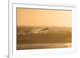 A Surfer Dives over a Wave on Praia Da Joaquina Beach on Florianopolis Island-Alex Saberi-Framed Photographic Print