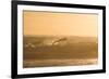 A Surfer Dives over a Wave on Praia Da Joaquina Beach on Florianopolis Island-Alex Saberi-Framed Photographic Print