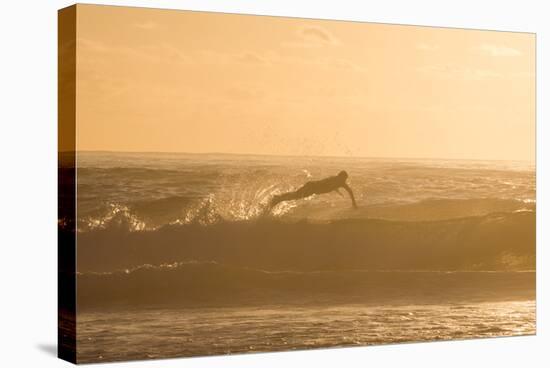 A Surfer Dives over a Wave on Praia Da Joaquina Beach on Florianopolis Island-Alex Saberi-Stretched Canvas