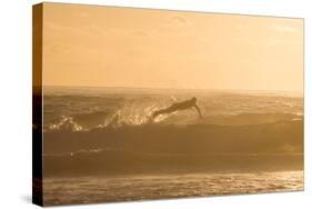 A Surfer Dives over a Wave on Praia Da Joaquina Beach on Florianopolis Island-Alex Saberi-Stretched Canvas