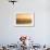 A Surfer Dives over a Wave on Praia Da Joaquina Beach on Florianopolis Island-Alex Saberi-Framed Photographic Print displayed on a wall