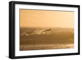 A Surfer Dives over a Wave on Praia Da Joaquina Beach on Florianopolis Island-Alex Saberi-Framed Photographic Print