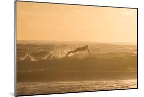 A Surfer Dives over a Wave on Praia Da Joaquina Beach on Florianopolis Island-Alex Saberi-Mounted Photographic Print