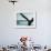 A Surfer Finds A Inside Line At Refugio State Park, California-Daniel Kuras-Framed Photographic Print displayed on a wall