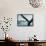 A Surfer Finds A Inside Line At Refugio State Park, California-Daniel Kuras-Framed Stretched Canvas displayed on a wall