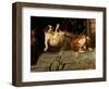 A Surprising Result, 1887-William Henry Hamilton Trood-Framed Giclee Print