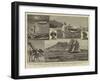 A Surveying Cruise Among the Solomon Islands-Joseph Nash-Framed Giclee Print