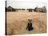 A Suspected Muqtada Al-Sadr Follower at an Us Army Base Outside Najaf-null-Stretched Canvas